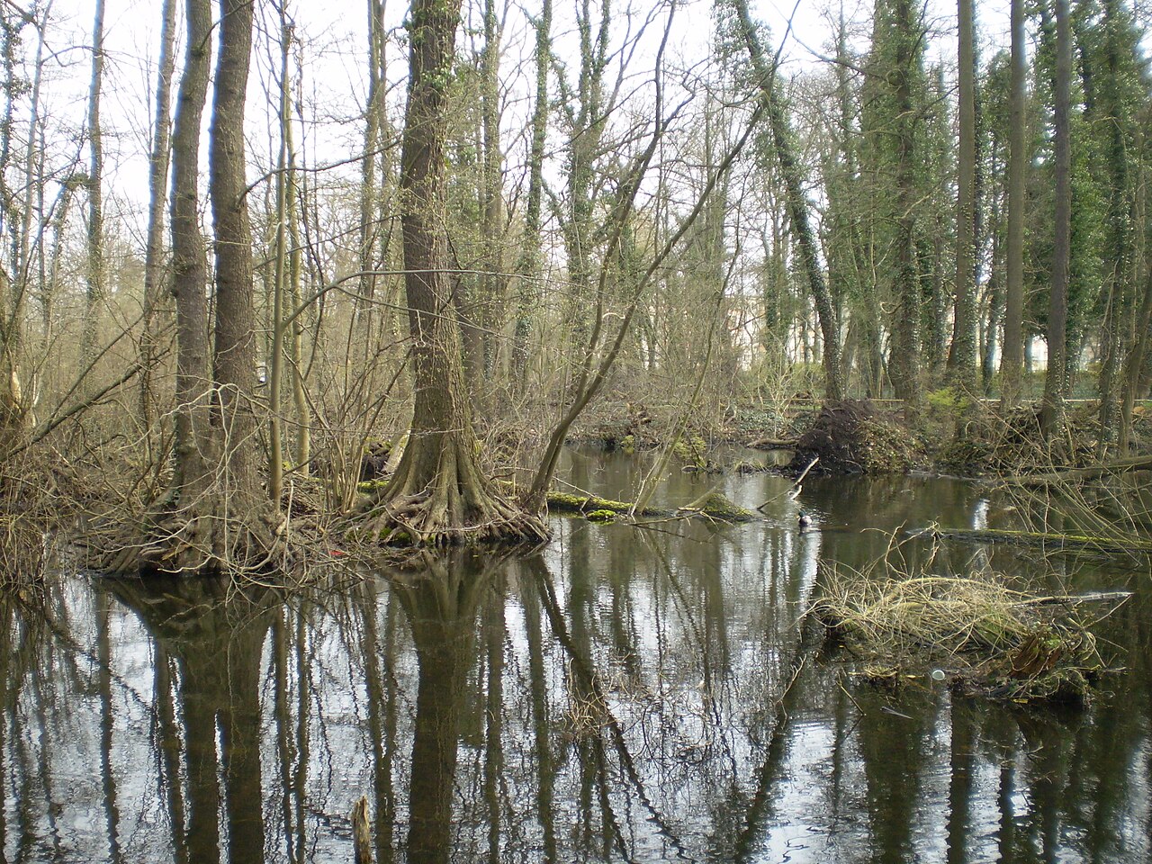 Kleiner-Spreewald-Park – Bild 2