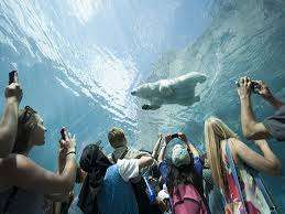 Churchill Park Tot Lot – Bild 5