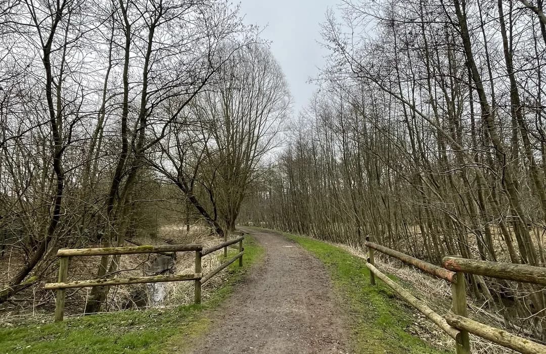 Castroper Holz – Bild 2