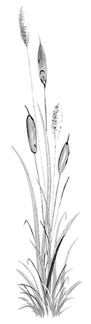 Café am See – Bild 5