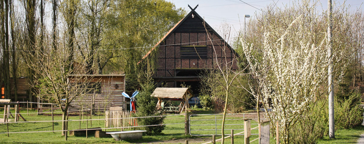 Der Ziegenmichel – Bild 1