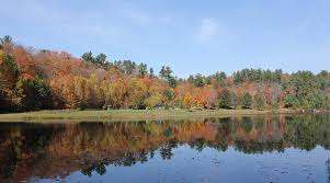 Kinsmen Eastside Park – Bild 5