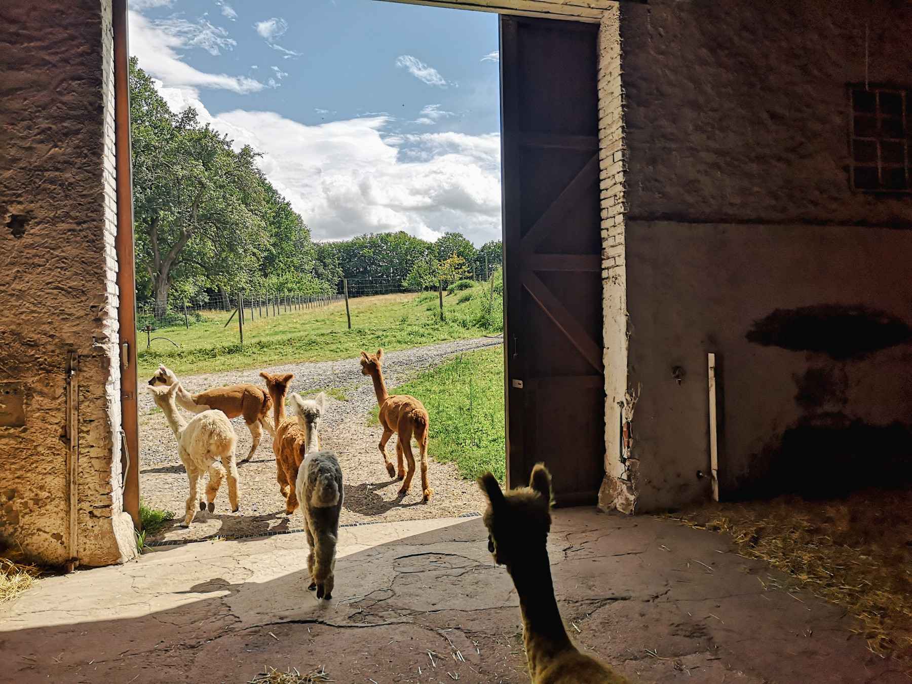 Hofgut Buckenberg – Bild 2