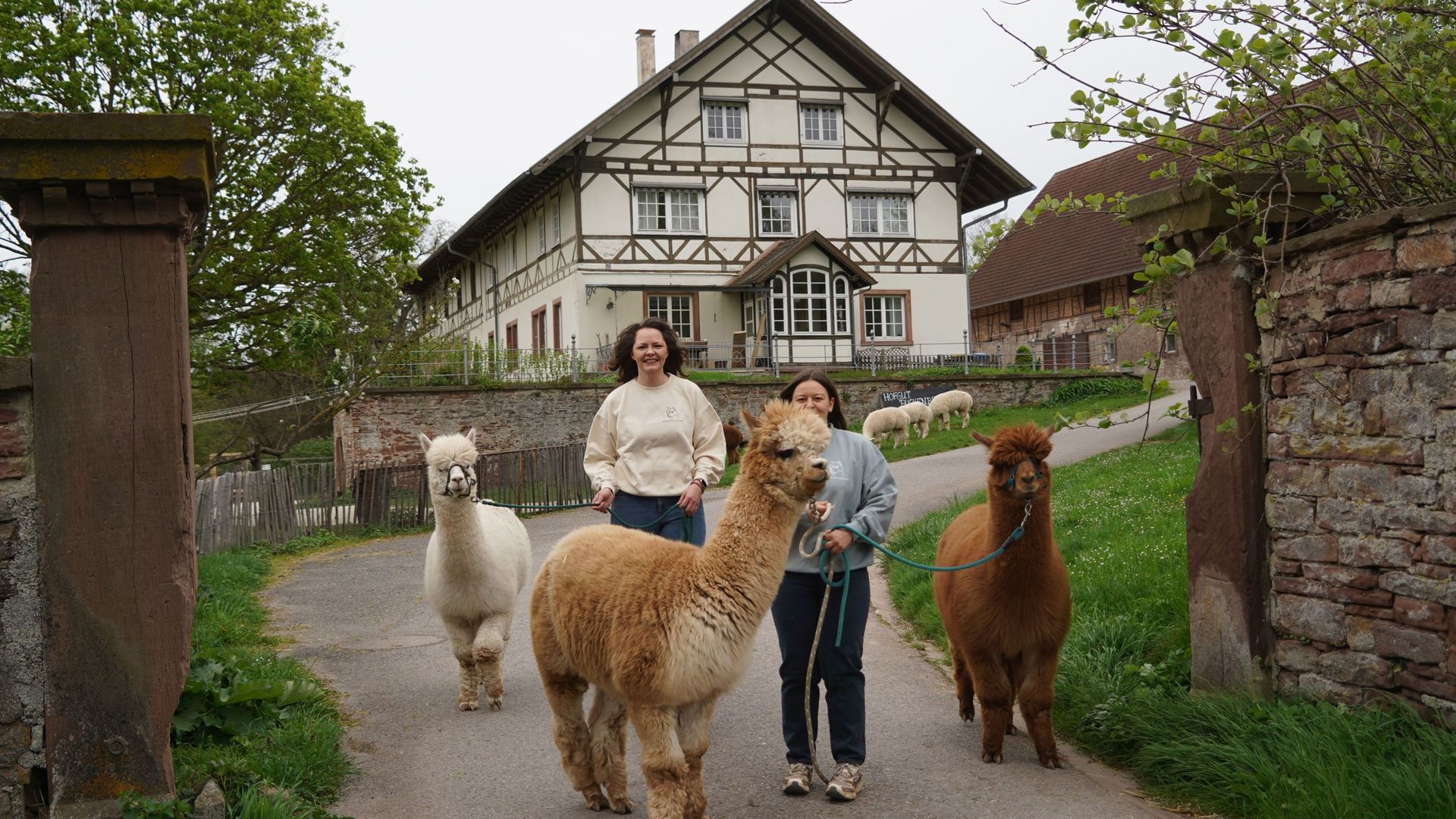 Hofgut Buckenberg – Bild 3