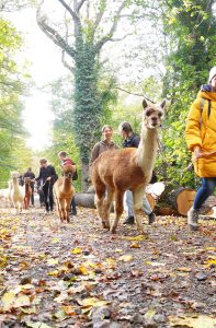 Hofgut Buckenberg – Bild 5