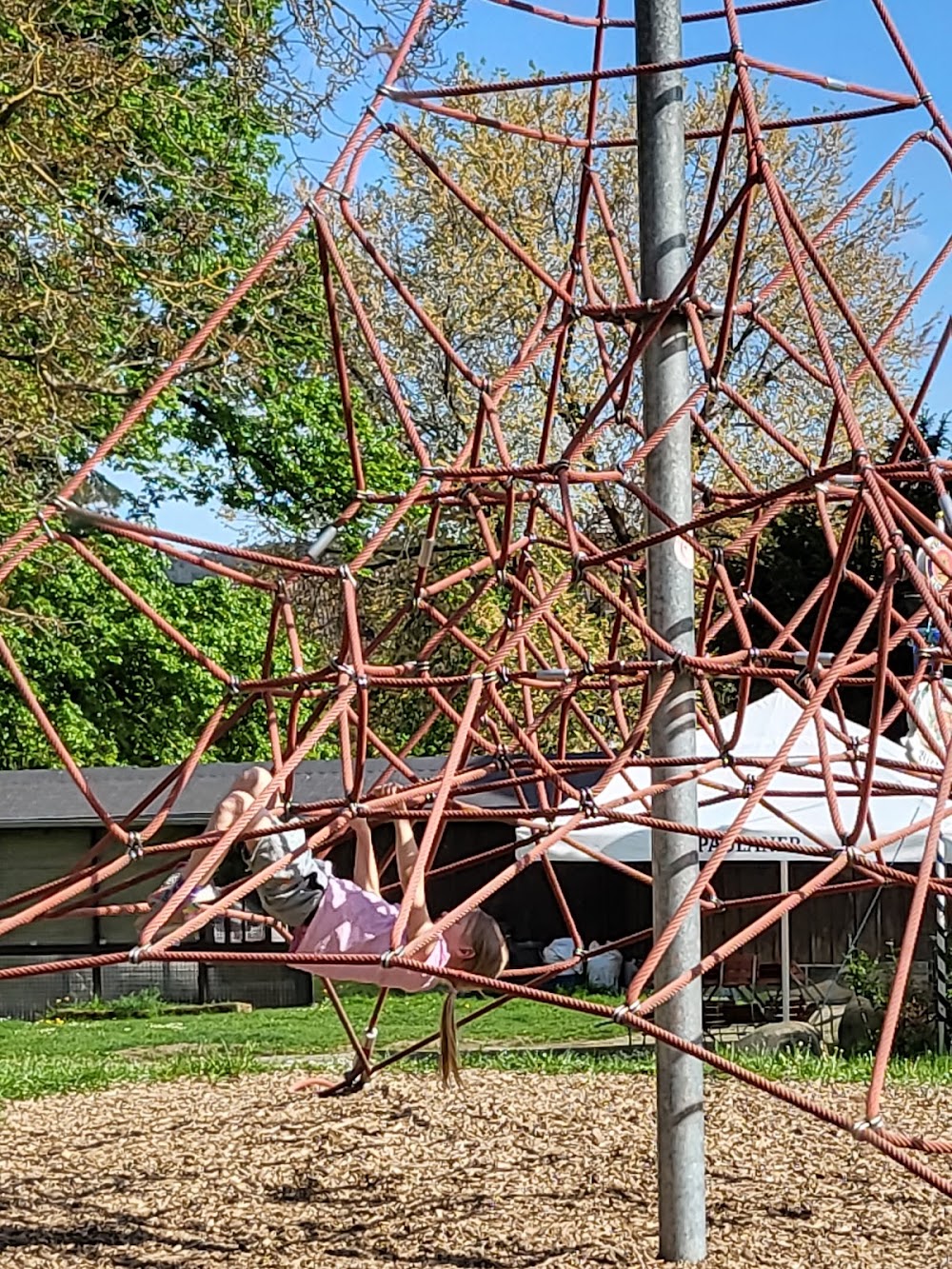 Rosengarten – Bild 3