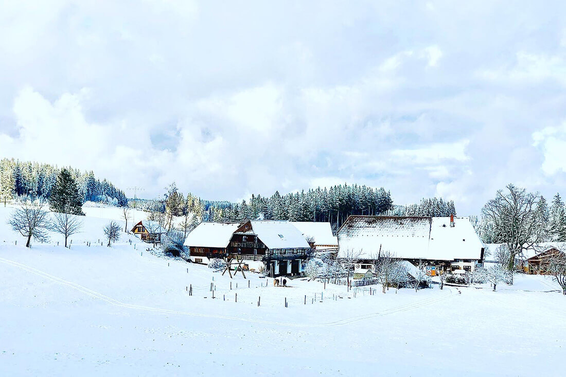Haldenmathisenhof - Urlaub auf dem Bio-Bauernhof – Bild 3