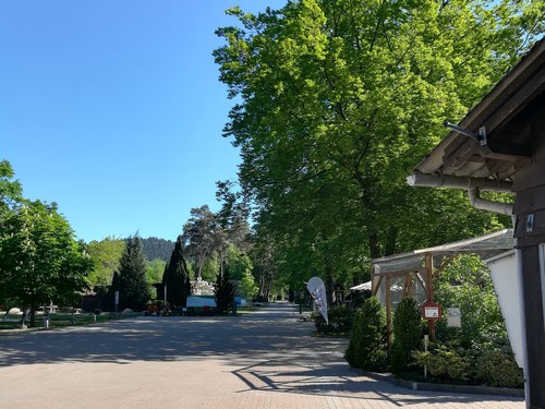 Camping Bude – Bild 4