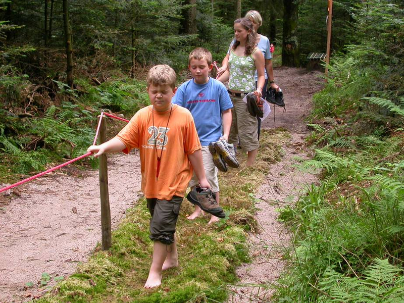 WaldErlebnisStation Ottersweier – Bild 6