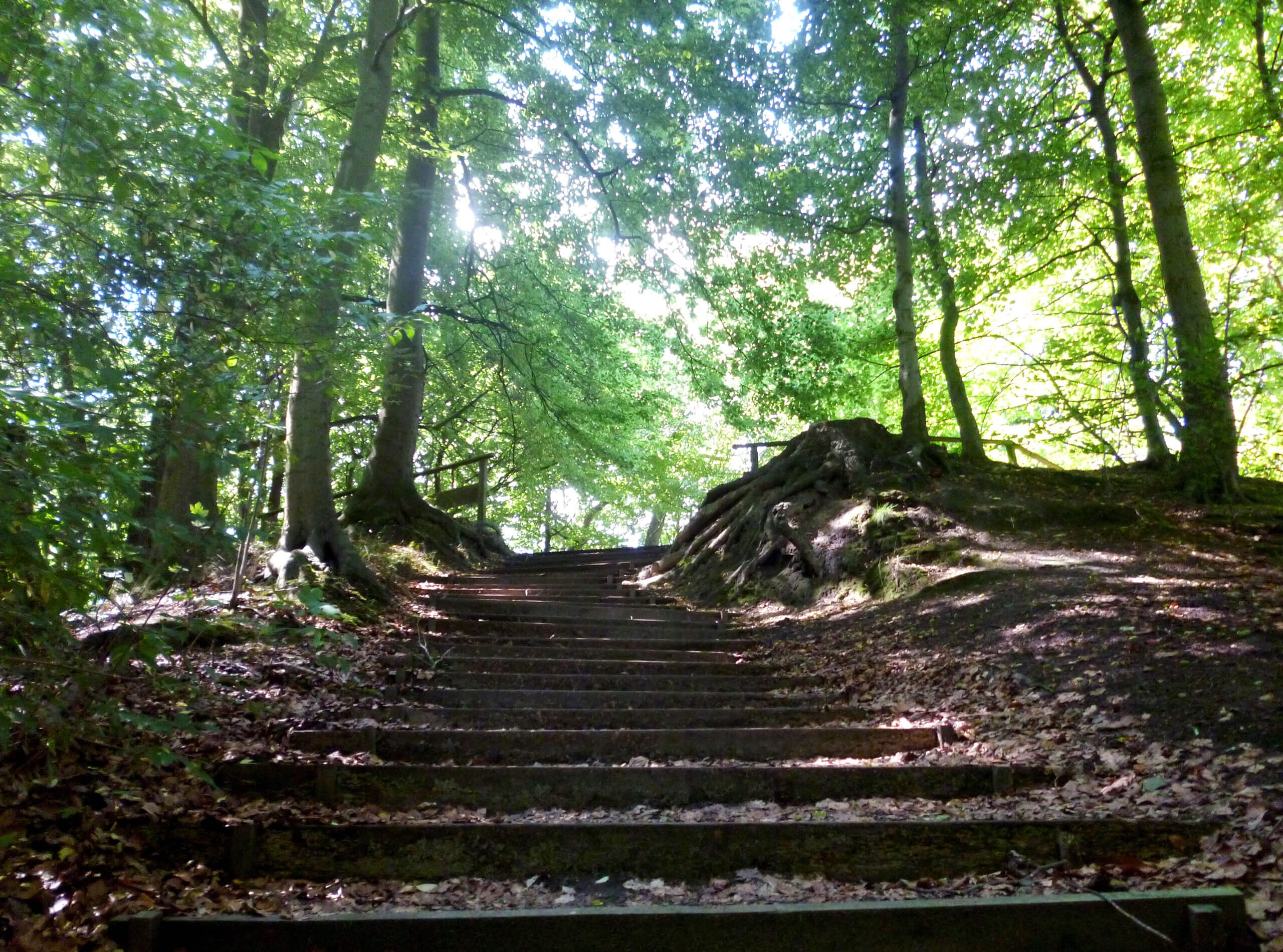 Wackelschaukel – Bild 2