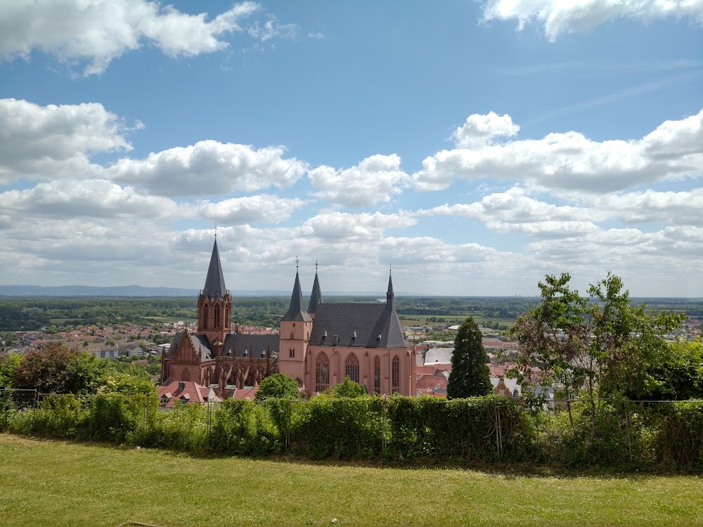 Tiergarten Oppenheim – Bild 4