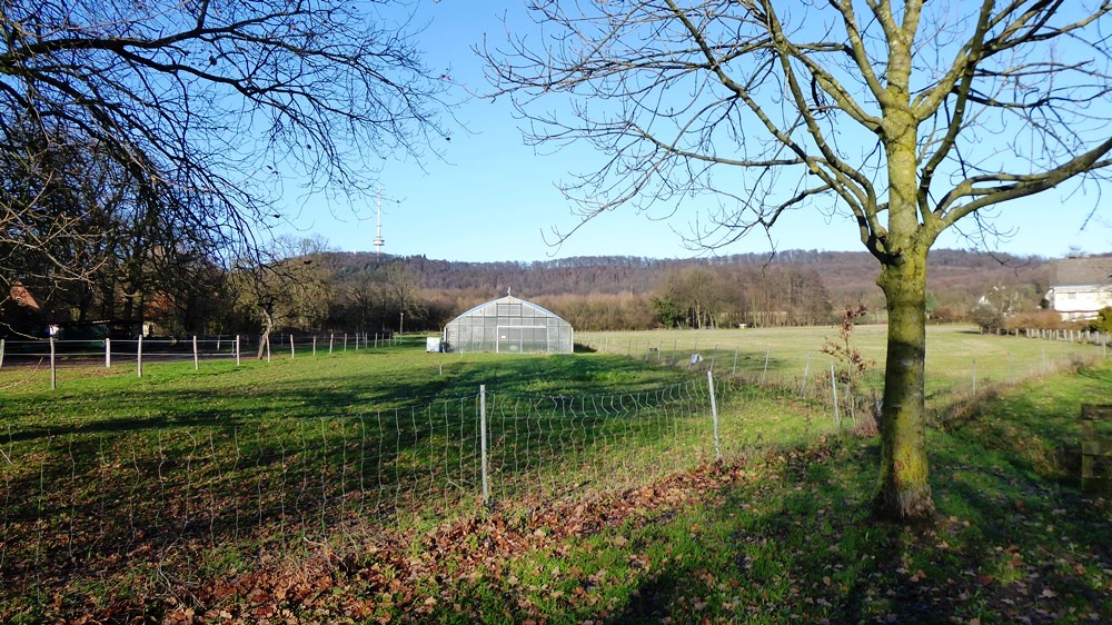 Biohof Bobbert – Bild 5