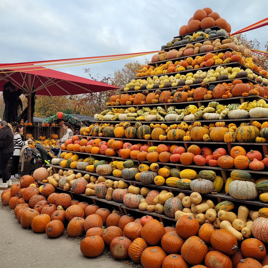 Erlebnisbauernhof Kessel – Bild 5