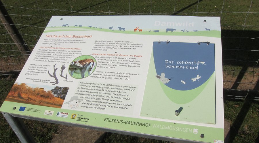 Erlebnisbauernhof Kessel – Bild 6