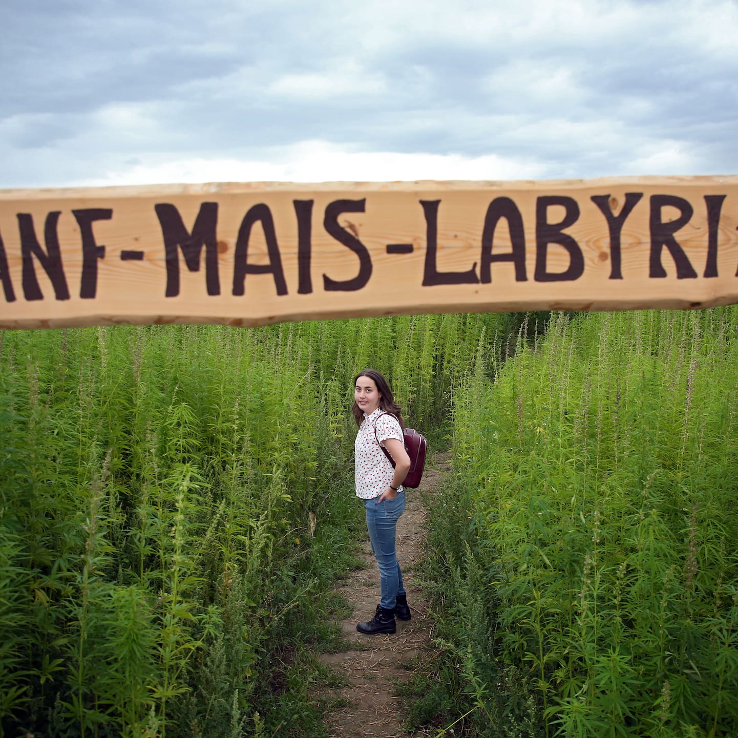 HANF-MAIS-LABYRINTH – Bild 2