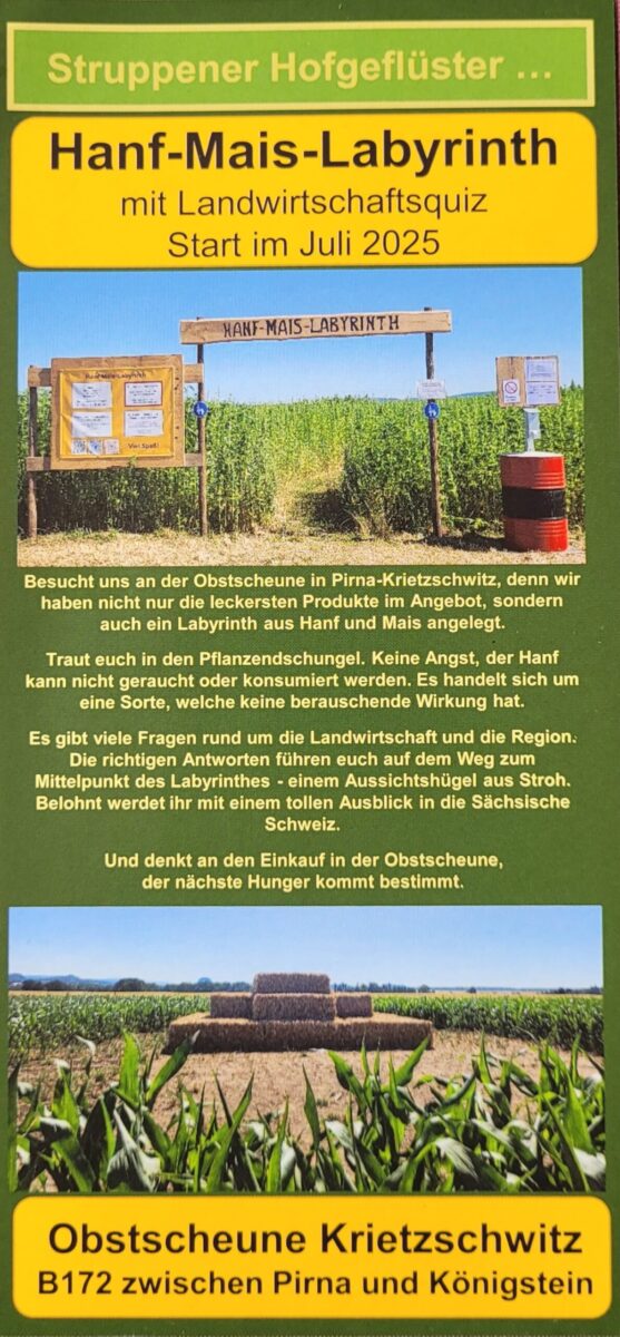 HANF-MAIS-LABYRINTH – Bild 3