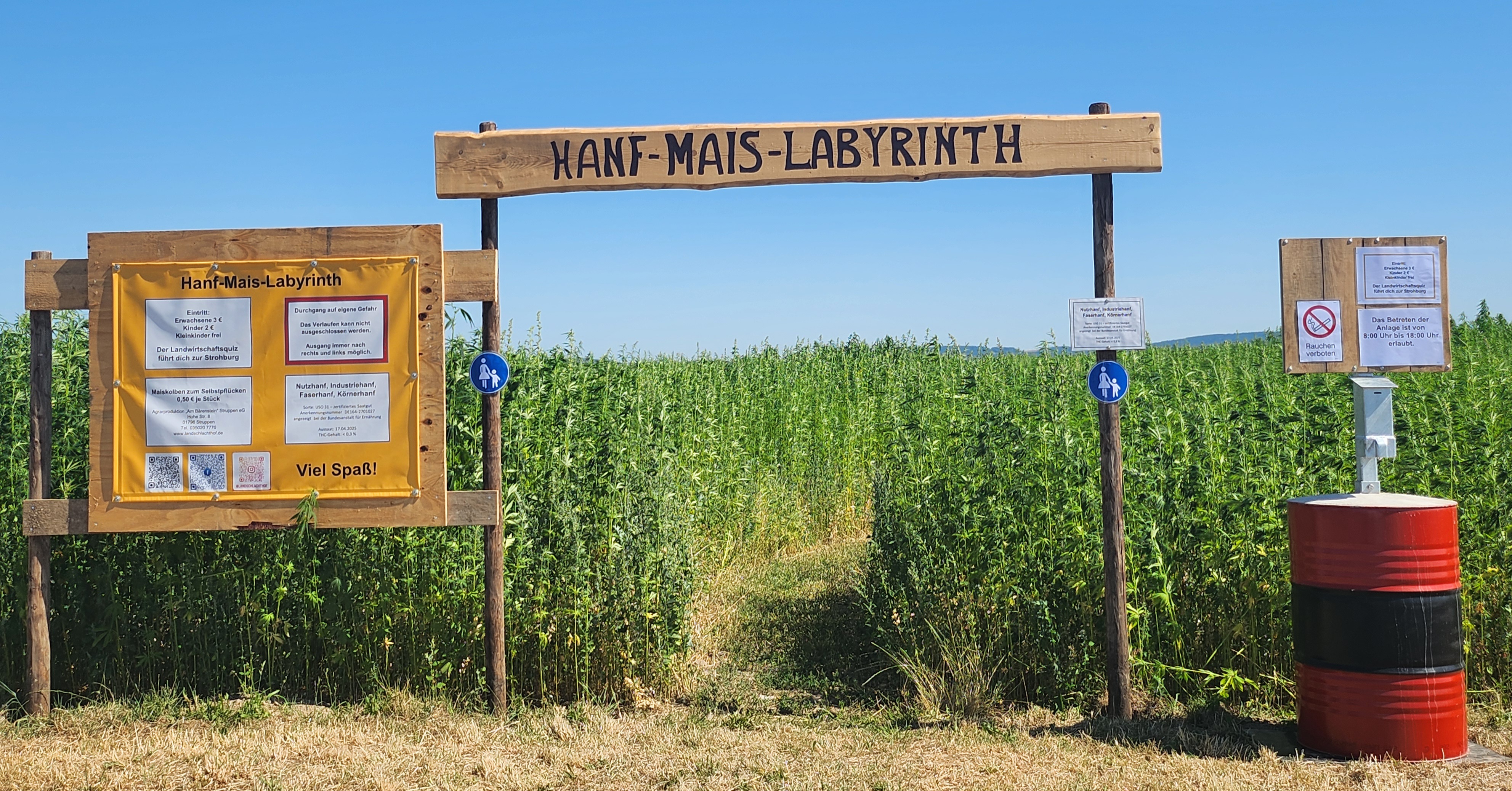 HANF-MAIS-LABYRINTH – Bild 4