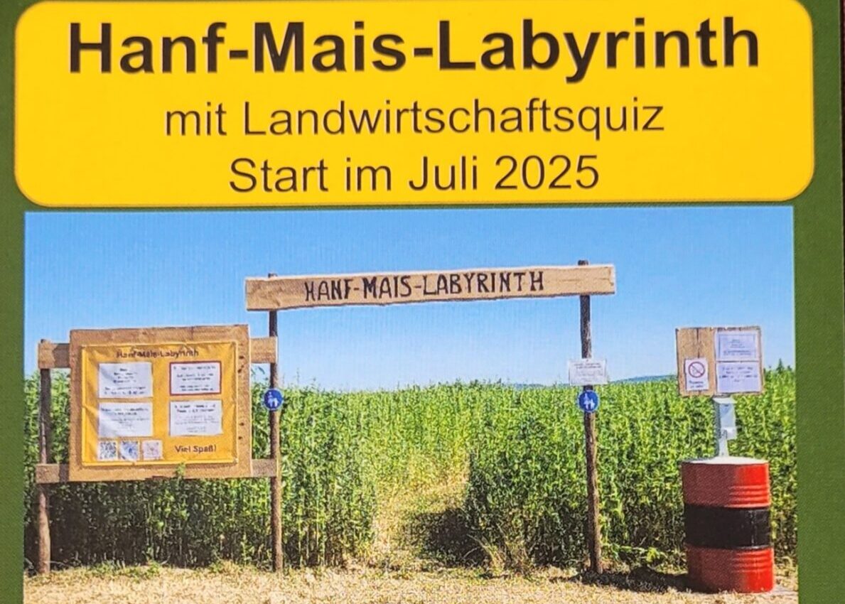 HANF-MAIS-LABYRINTH – Bild 5