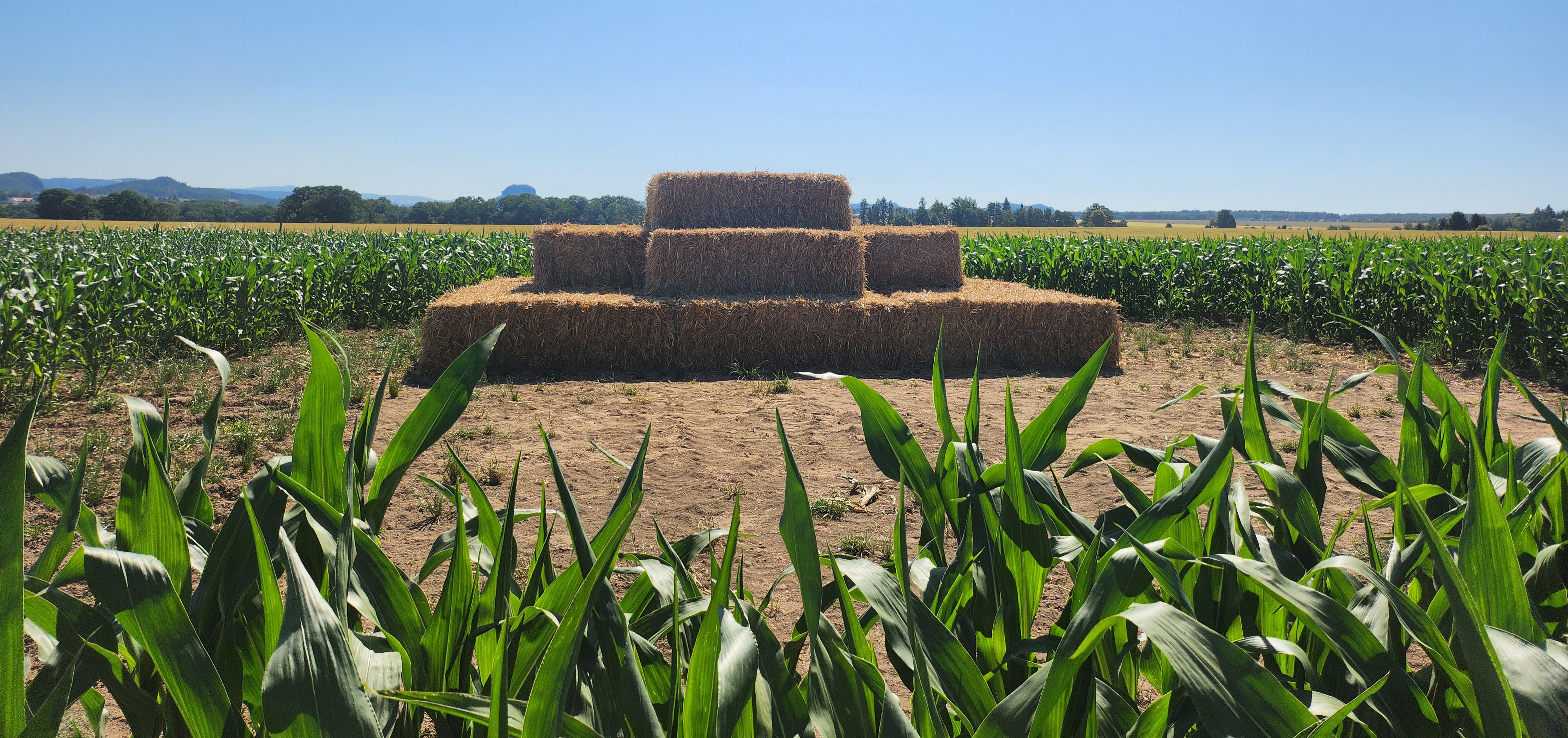 HANF-MAIS-LABYRINTH – Bild 6