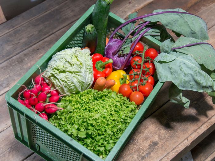 Zweigstelle Bioland-Hof Gut Paulinenwäldchen – Bild 3