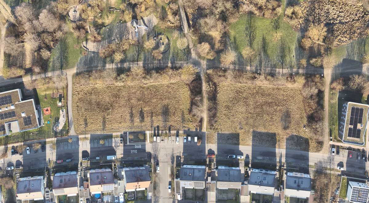 Grüne Mitte – Bild 4