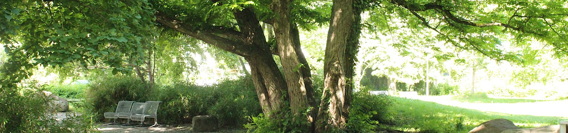 Westpark Germering – Bild 3