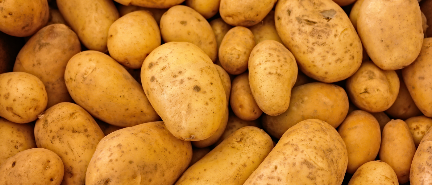 Familie Constien – Bild 5