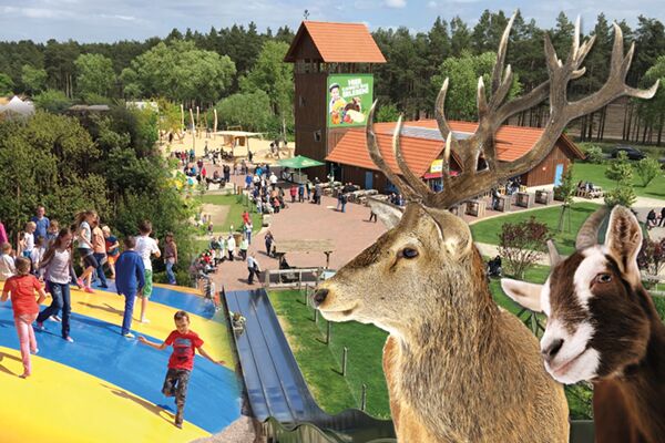 Winkelmanns Hof Klaistow GmbH - Spargelhof Klaistow – Bild 5