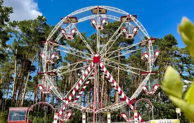 Winkelmanns Hof Klaistow GmbH - Spargelhof Klaistow – Bild 6