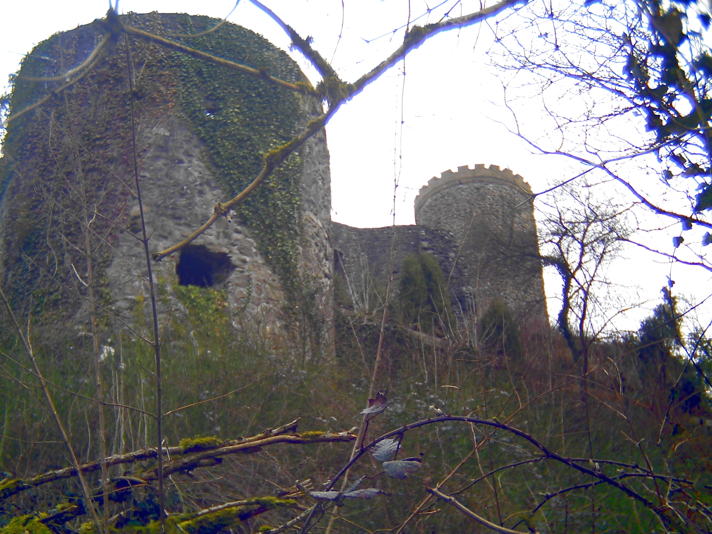 Burg Husen – Bild 1
