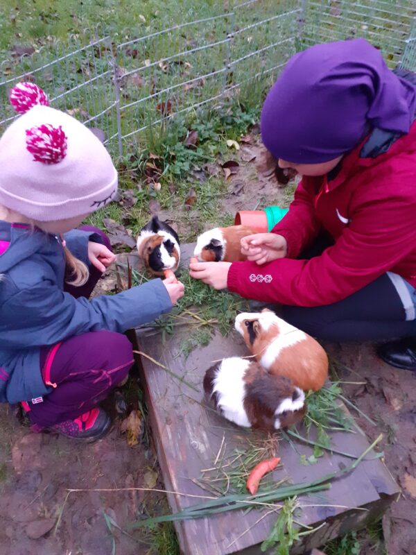 Kinder- und Jugendfarm Süßen e.V. – Bild 5