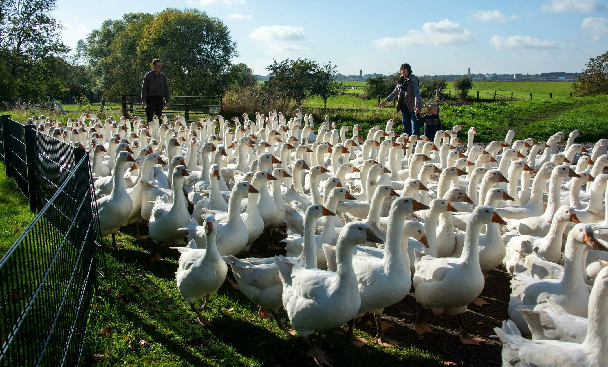 Hof „Haus Grind" - Familie Mosch – Bild 2