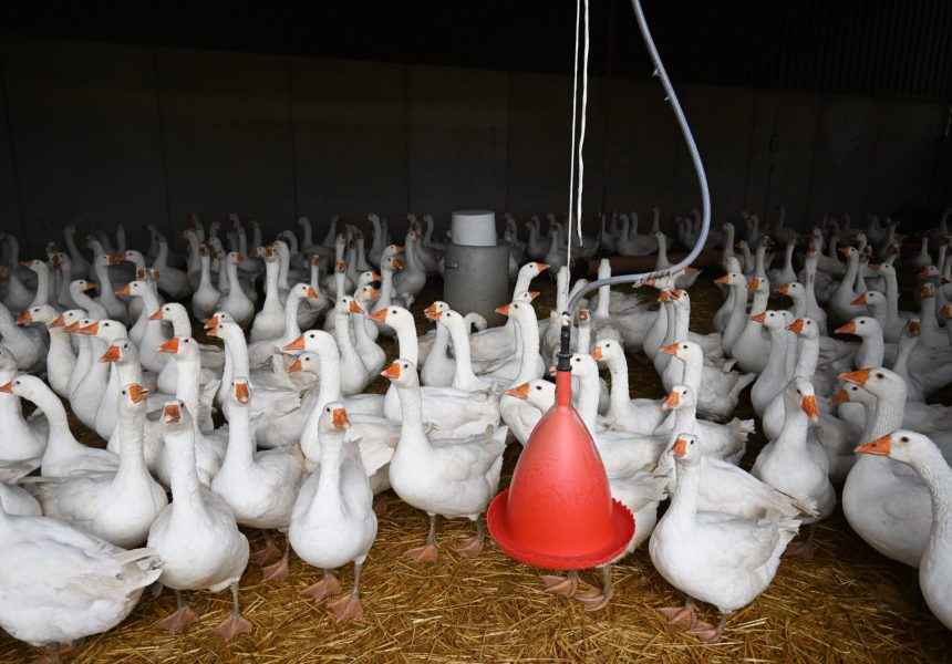 Hof „Haus Grind" - Familie Mosch – Bild 3