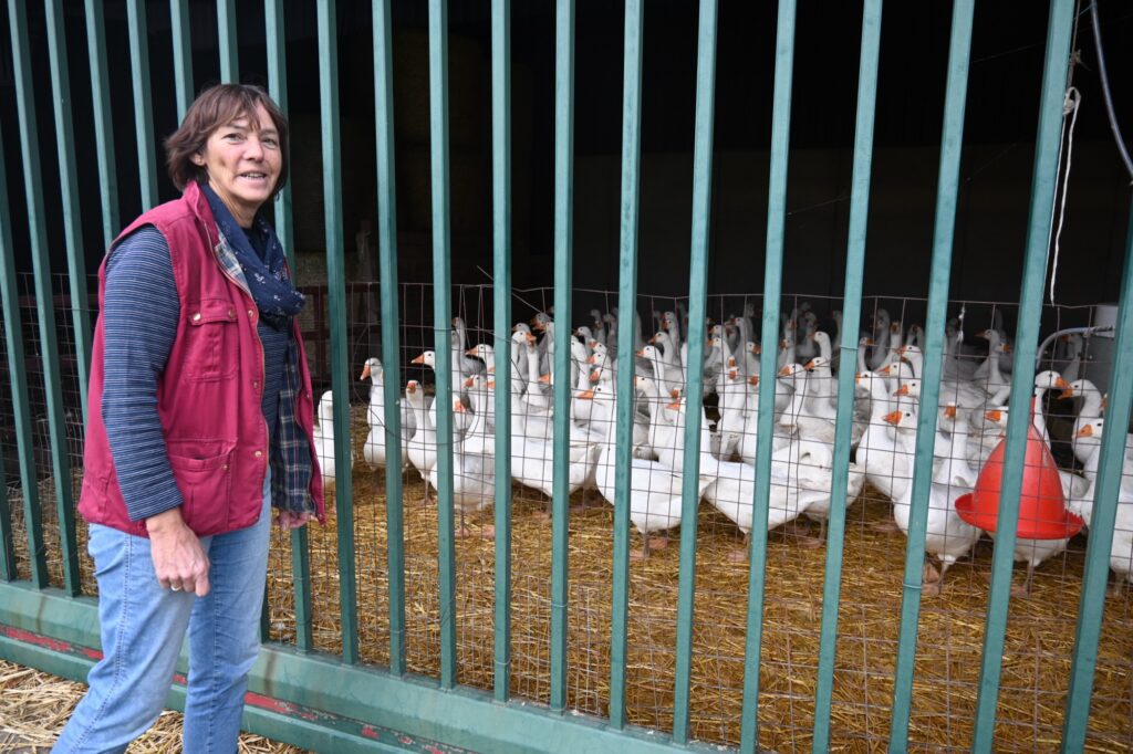 Hof „Haus Grind" - Familie Mosch – Bild 6