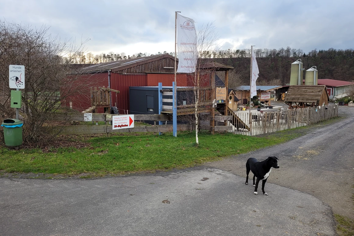 Der Weidenäckerhof – Bild 3