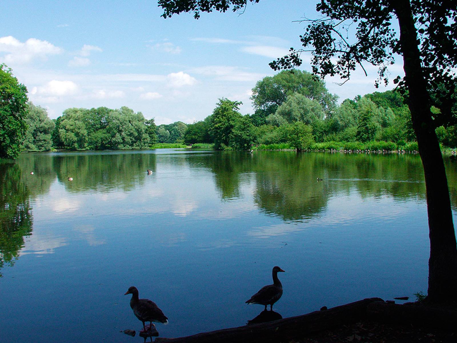 Hermann-Löns-Park – Bild 3