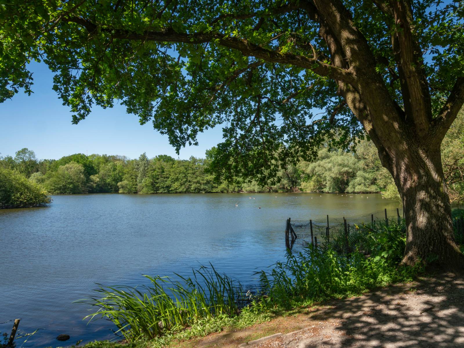 Hermann-Löns-Park – Bild 5