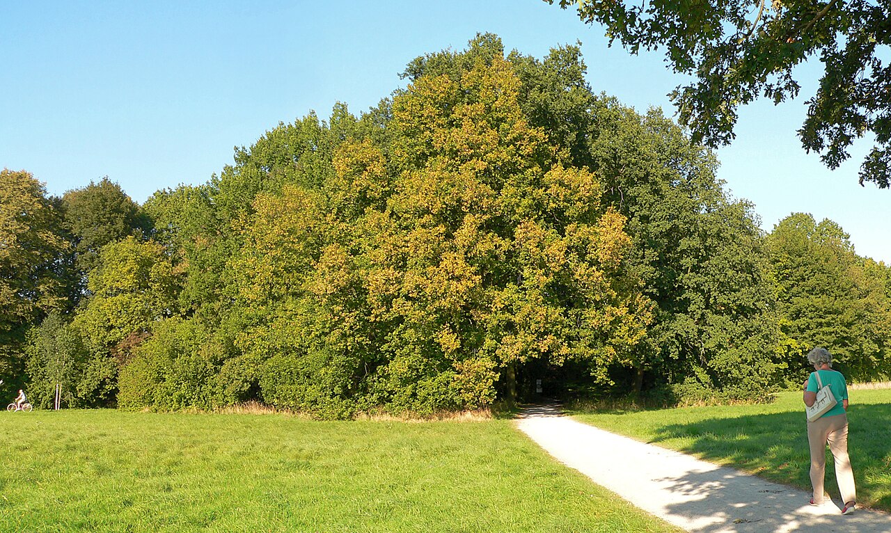 Hermann-Löns-Park – Bild 6