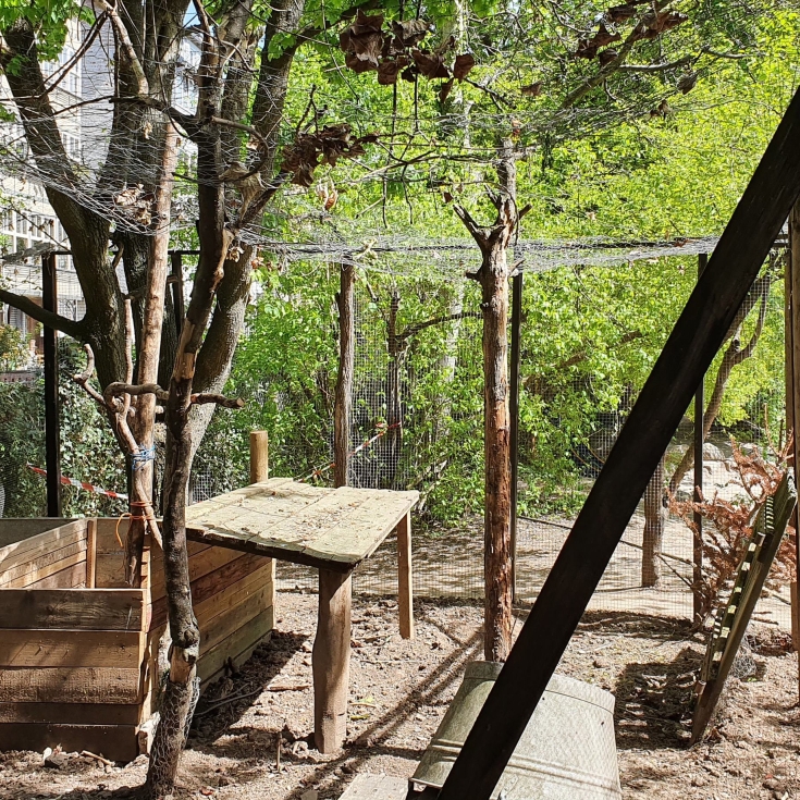 Hasenspielplatz – Bild 6