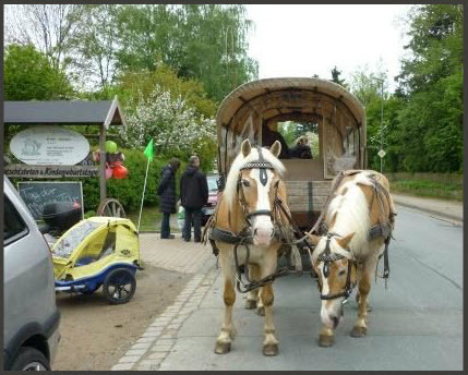 Bauerngärtchen – Bild 6