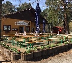 Vogelpark Hambrücken – Bild 1