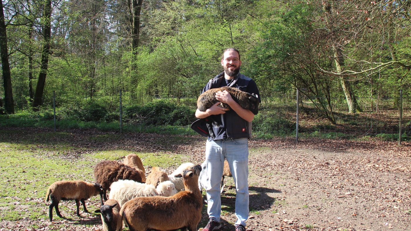 Vogelpark Hambrücken – Bild 4