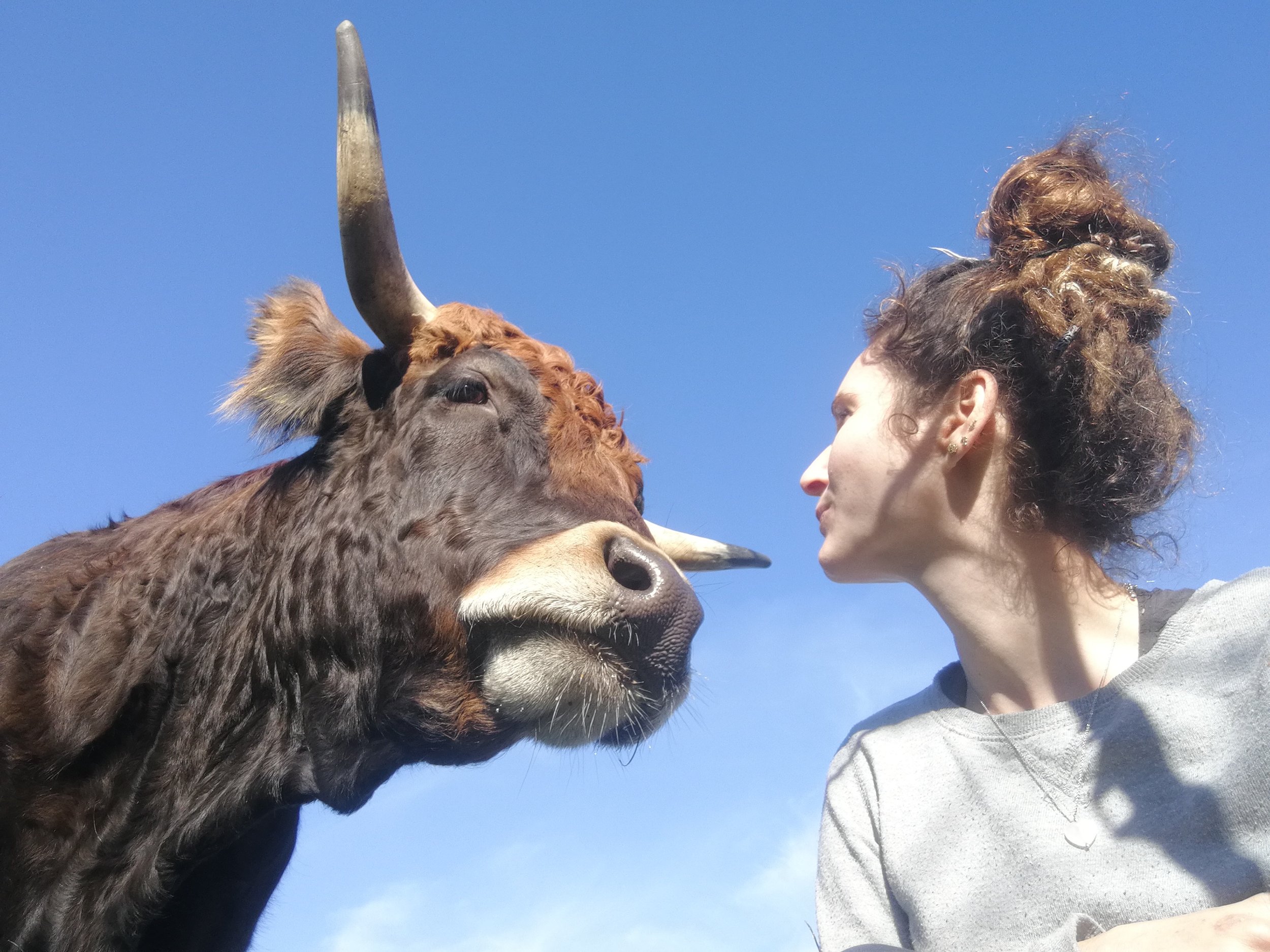 Papagei & Känguruhof – Bild 3