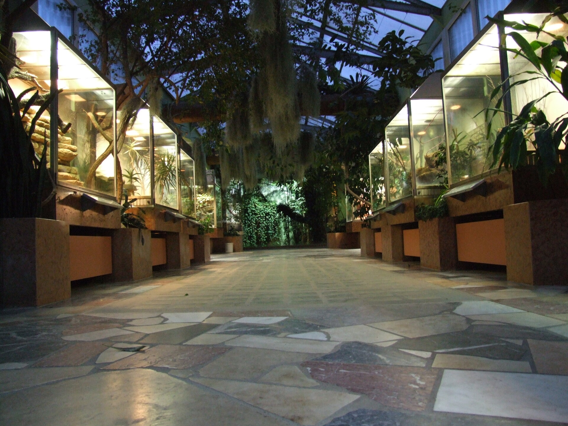 Zoo Frankfurt – Bild 5