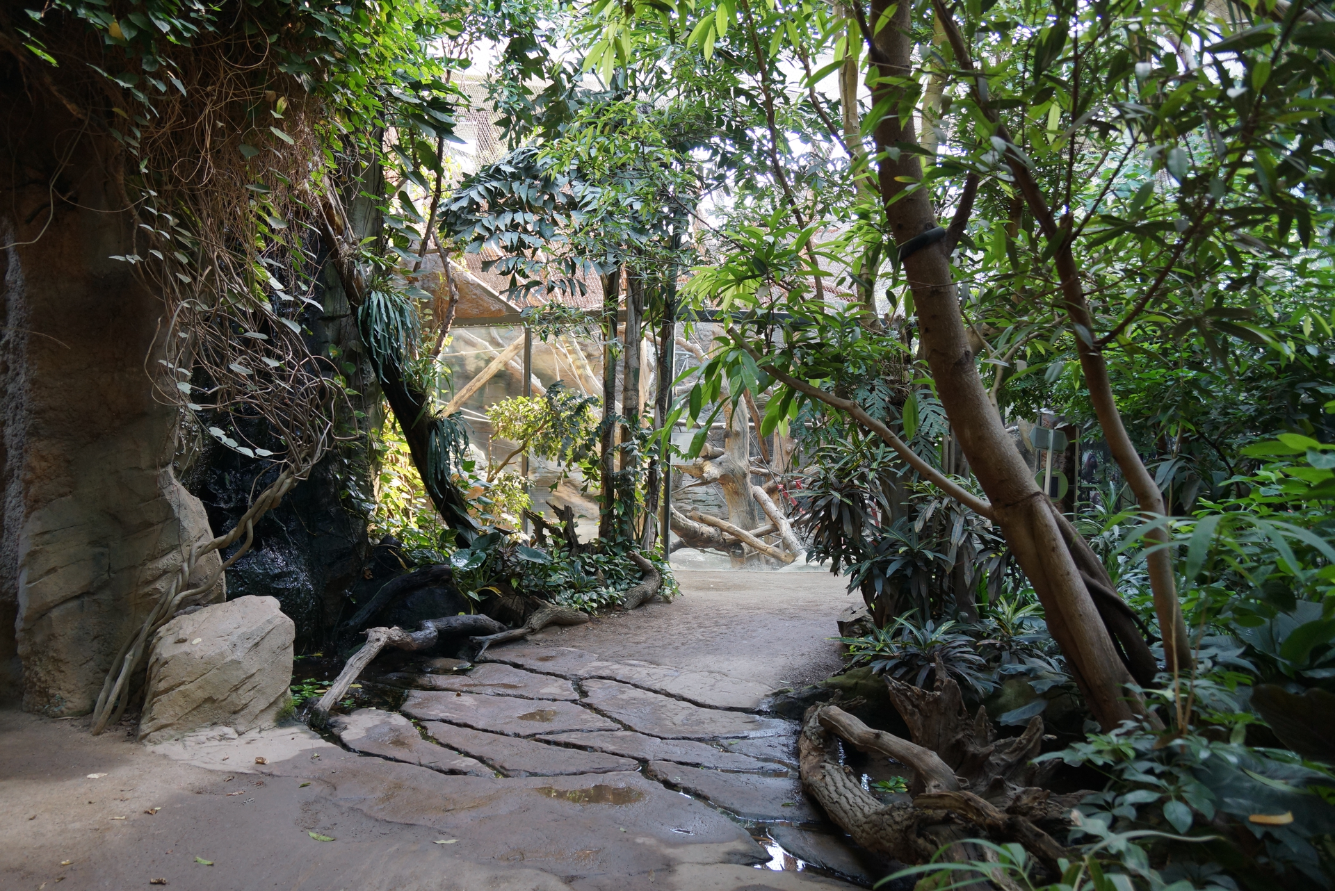 Zoo Frankfurt – Bild 6