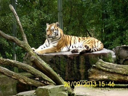 Eifel-Zoo – Bild 2