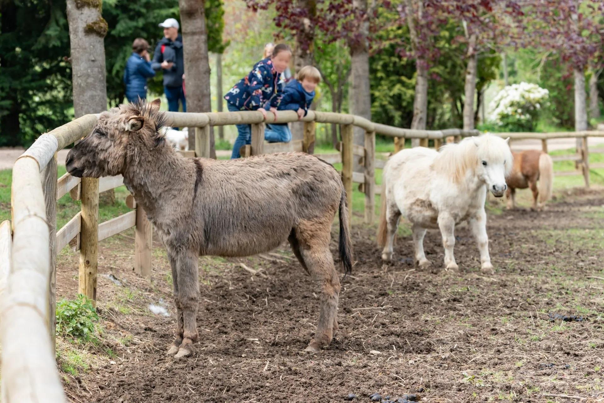 Eifel-Zoo – Bild 6