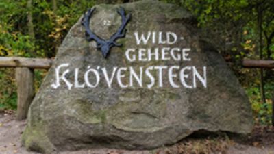 Wildgehege – Bild 3
