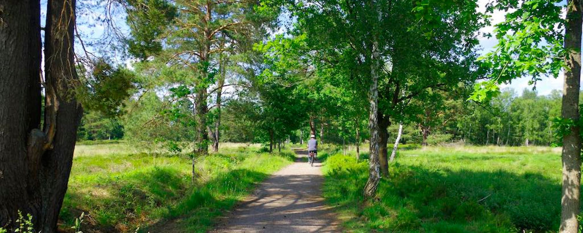 Wildgehege – Bild 4