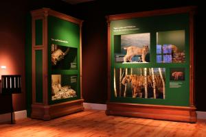 Museen im Schloss Friedenstein – Bild 4